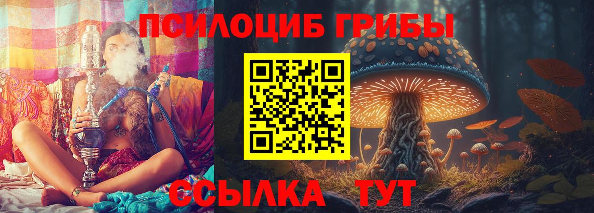 Кандалакша  Галлюциногенные грибы Psilocybe  Галлюциногенные грибы ЛСД  купить наркотик  Вход с VPN 